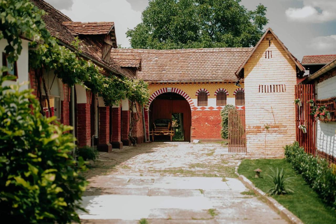 Kuca Za Odmor "Sokacka Lady" Villa Zupanja Exterior foto